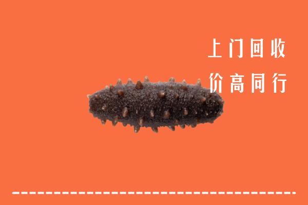 高价求购：乌兰察布察哈尔右前回收海参
